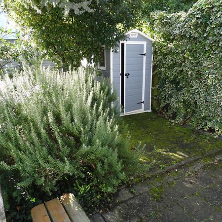 Vakantiehuis Buitengewoon Wissenkerke Eksteriør billede
