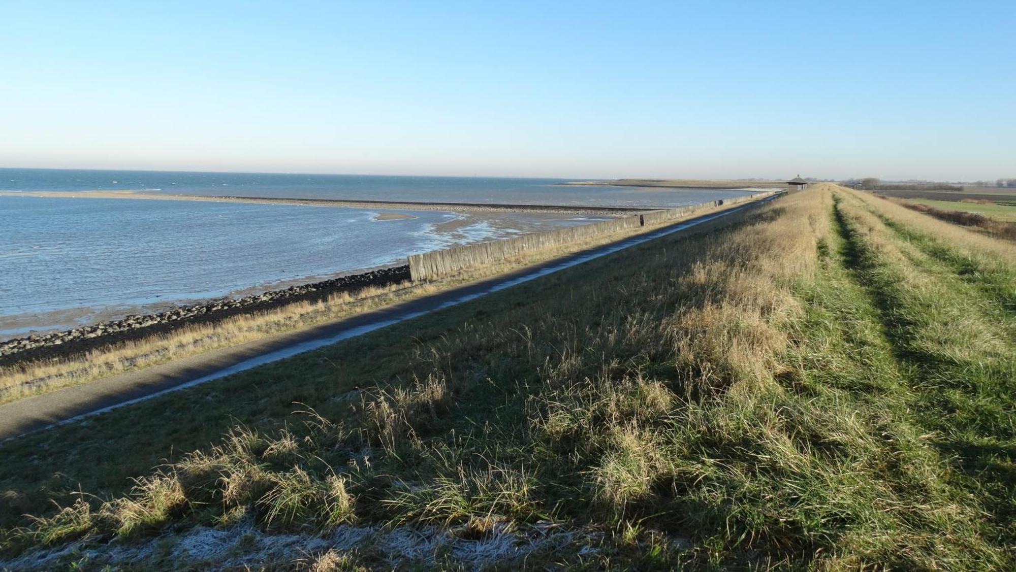 Vakantiehuis Buitengewoon Wissenkerke Eksteriør billede