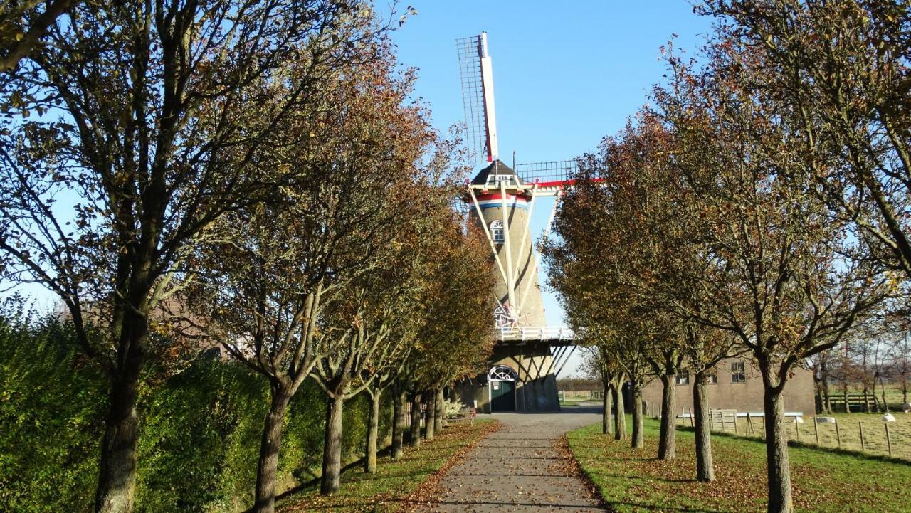 Vakantiehuis Buitengewoon Wissenkerke Eksteriør billede